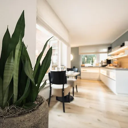 Busche Am Dom Otel 3*