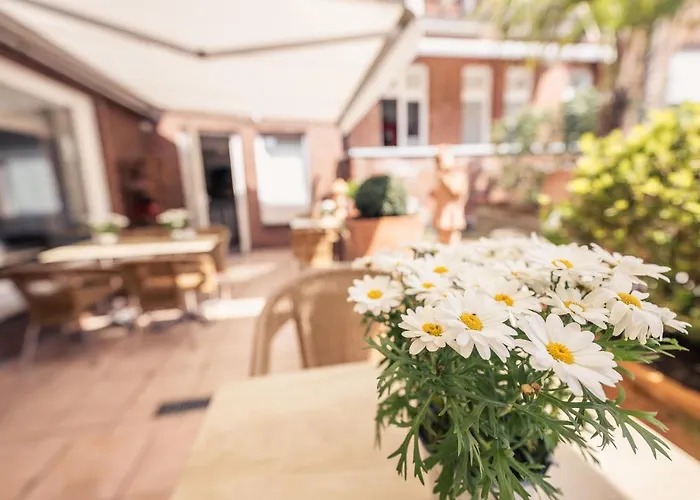 Busche Am Dom Ξενοδοχείο 3*